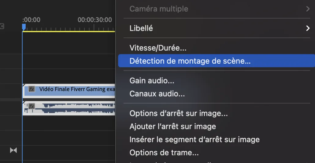 Clic droit sur la vidéo dans la timeline, puis « Détection de montage de scène »