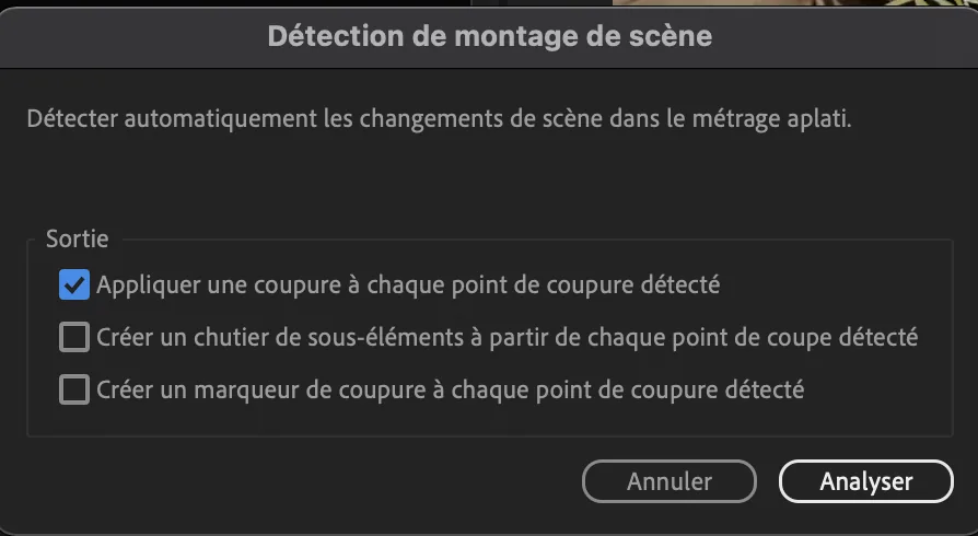 Option « Appliquer une coupure à chaque point de coupure détectée », puis « Analyser »